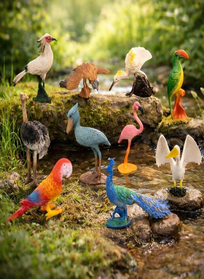 DTR Creation Pack of 10 Bird Figurines for Kids | Realistic Wild Bird Animal Toys | Educational Plastic Miniature Birds Set for Learning, School Projects & Home Décor - Image 3
